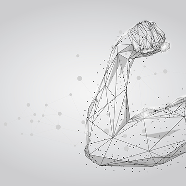 Bild für Auswahlnummer 5